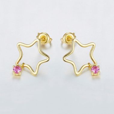 Hollow Star Gemstone Earrings
