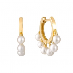 Small Pearl Tassel Drop Hoop Earrings