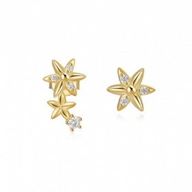 Asymmetric Flower Diamond Studs